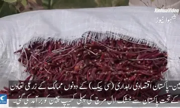 Pakistan exports first shipment of red chilies to China in CPEC agriculture cooperation