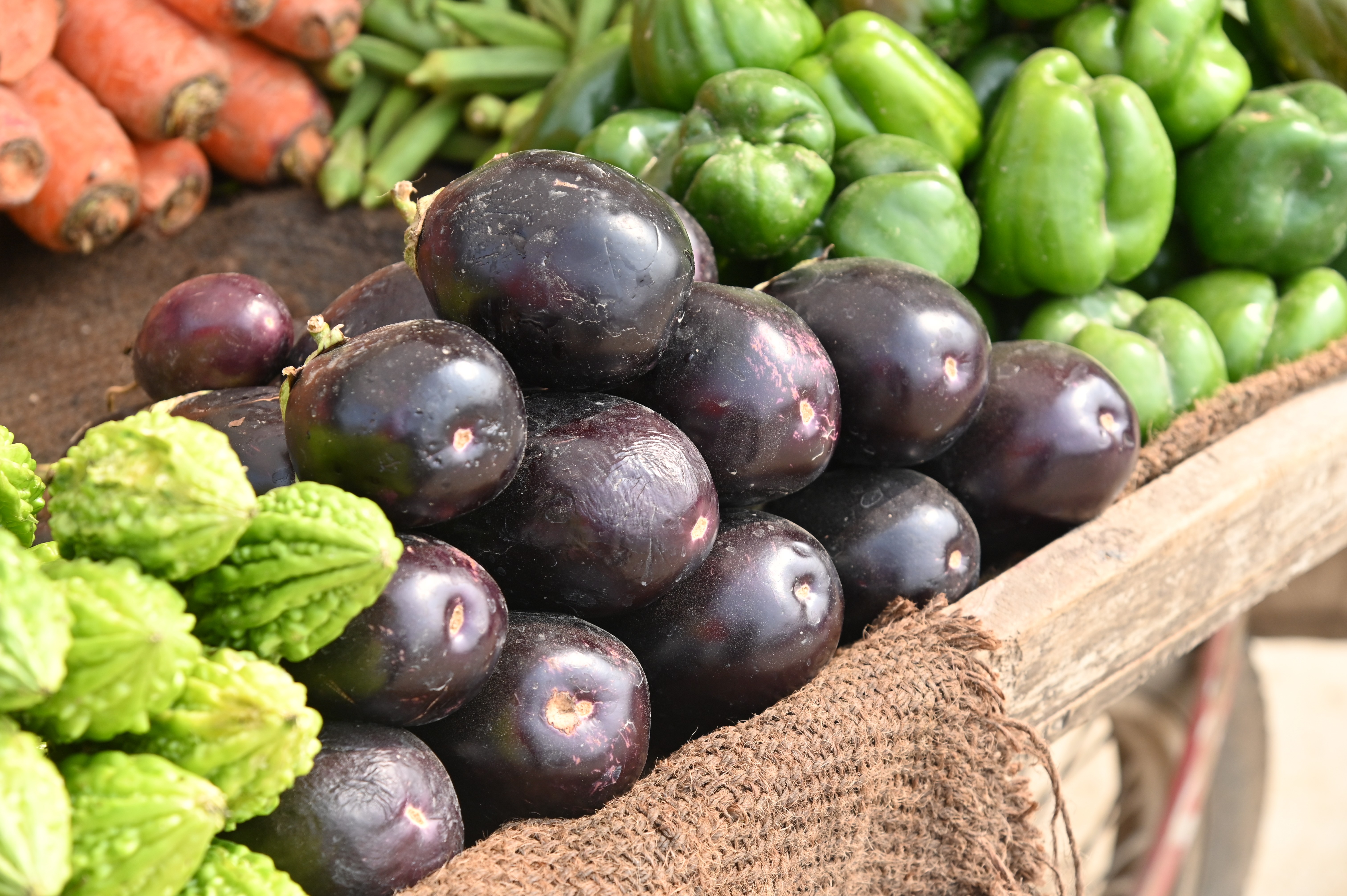 Raw fresh Eggplants in the vegetable market