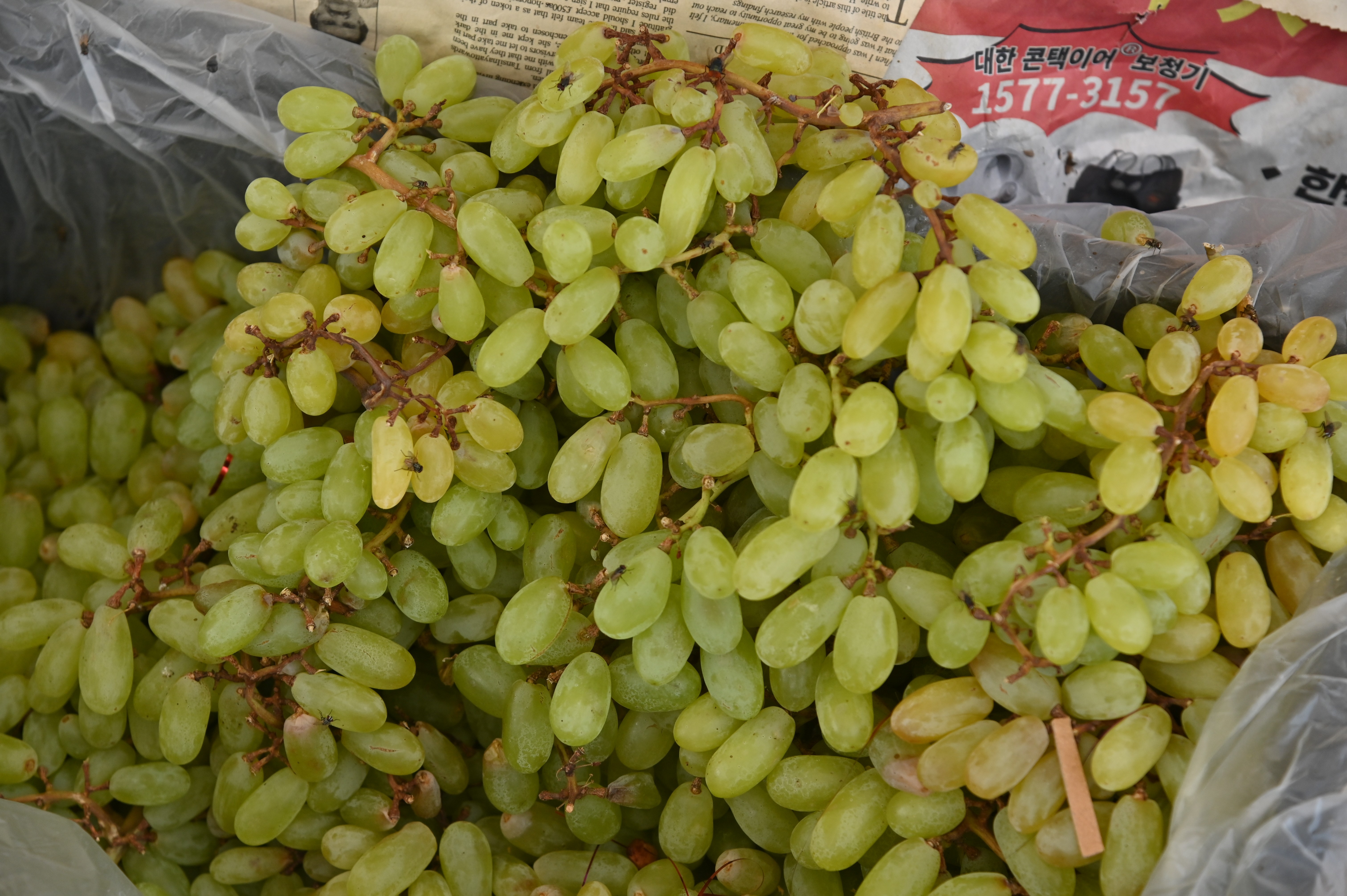 Fresh grapes in a fruit market