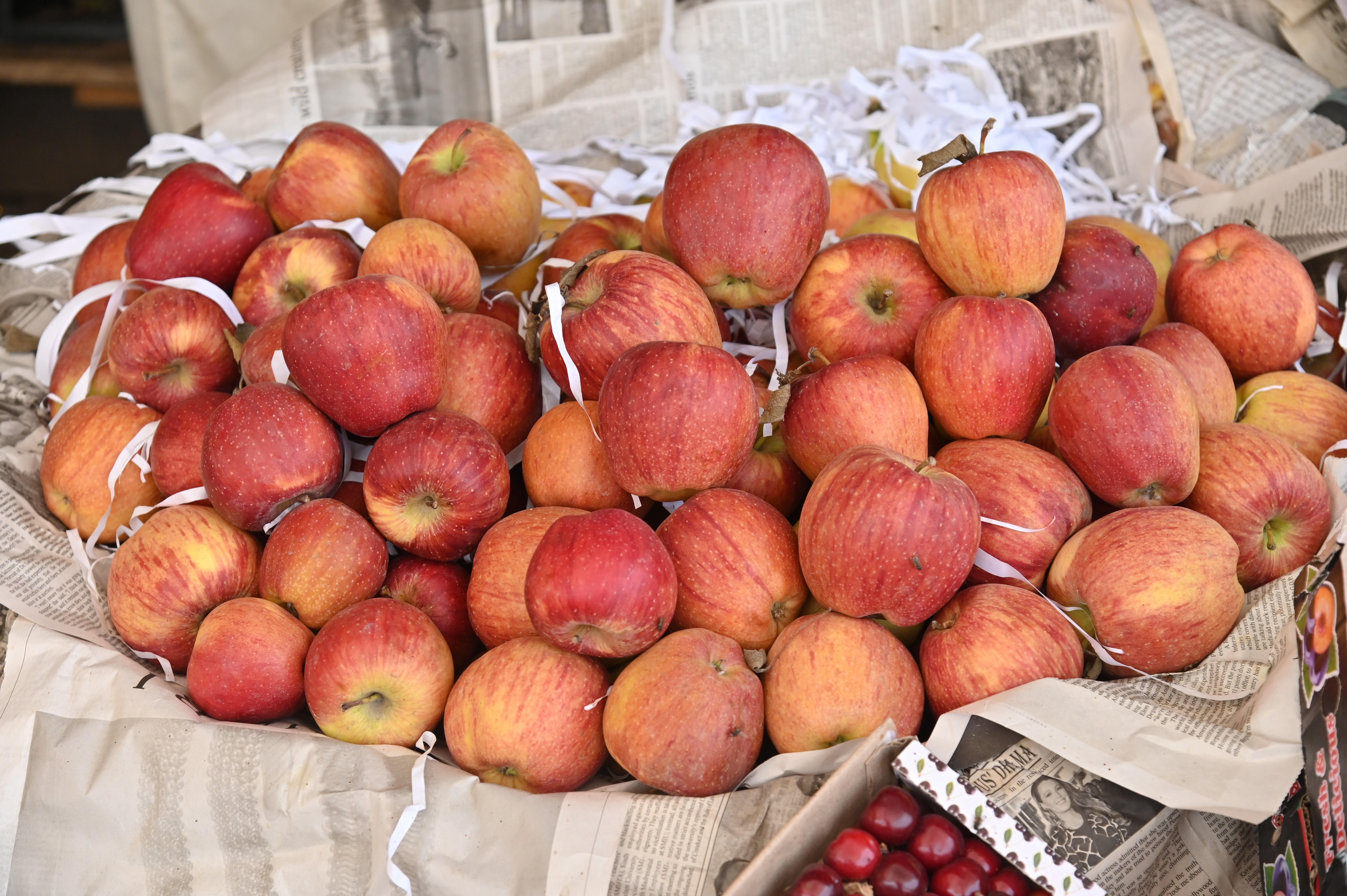 Fresh apples straight from the farm
