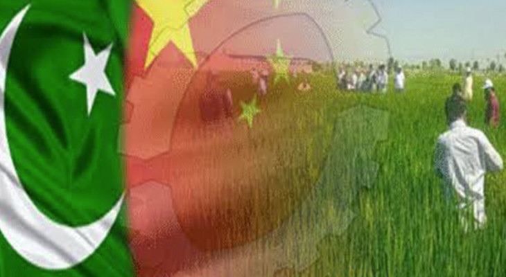 Chinese agriculture company to donate hybrid rice seeds to Pakistan-INP