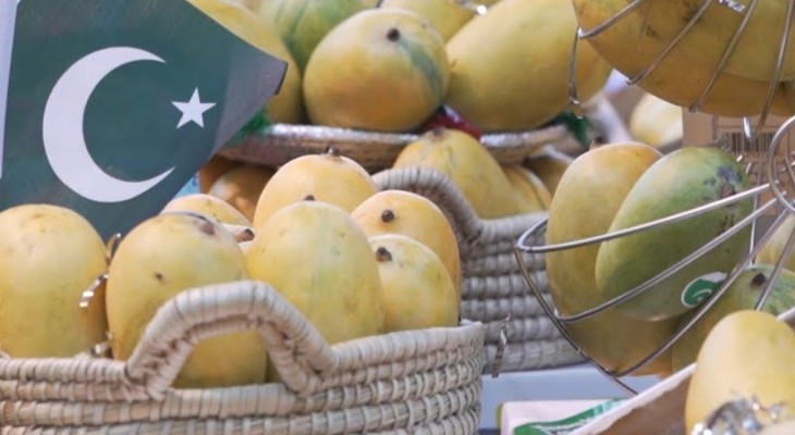 آف لائن اور آن لائن بین الاقوامی نمائش میں پاکستانی آموں کی دھوم-INP