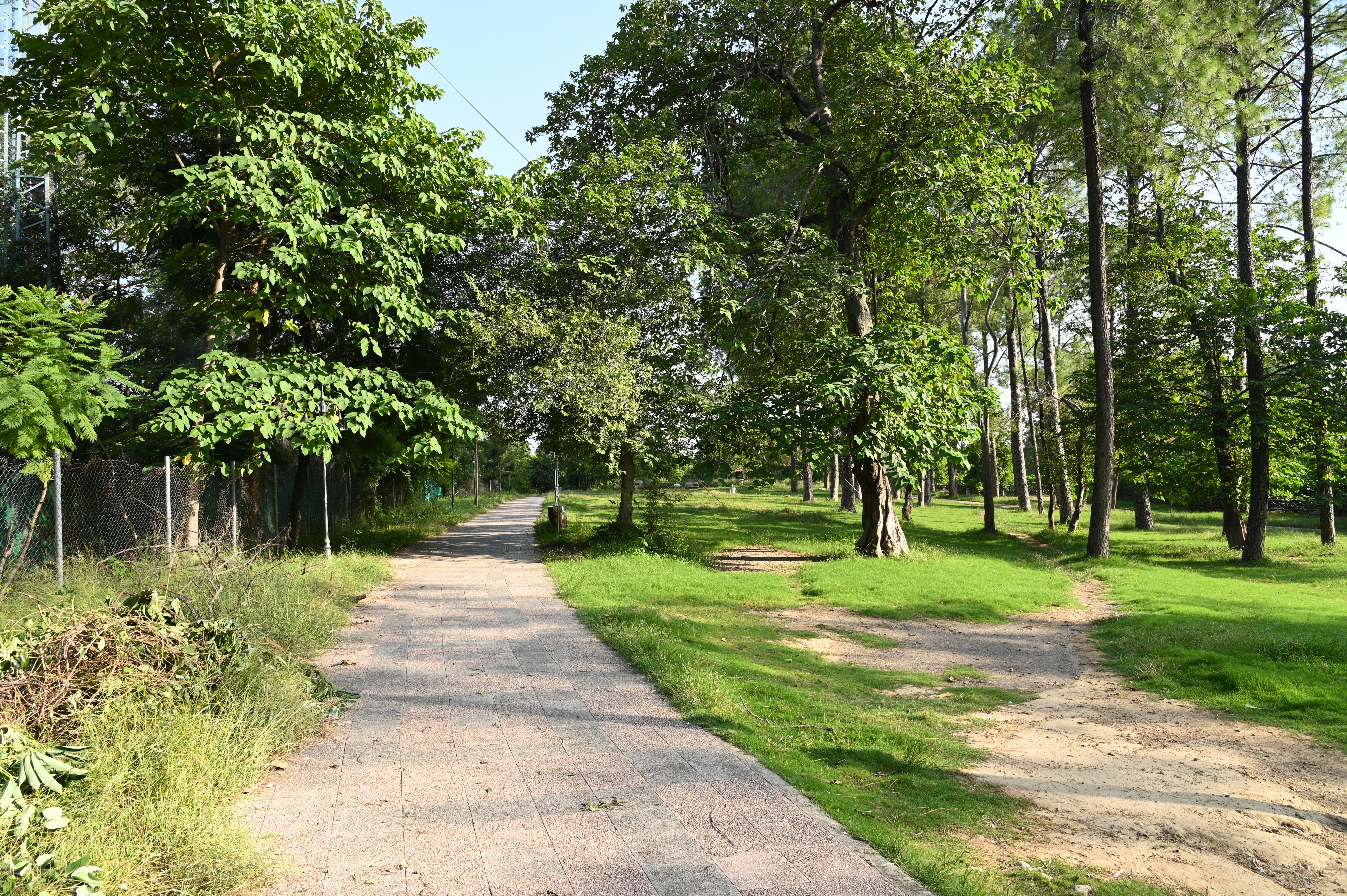 passage walkway to the lake view