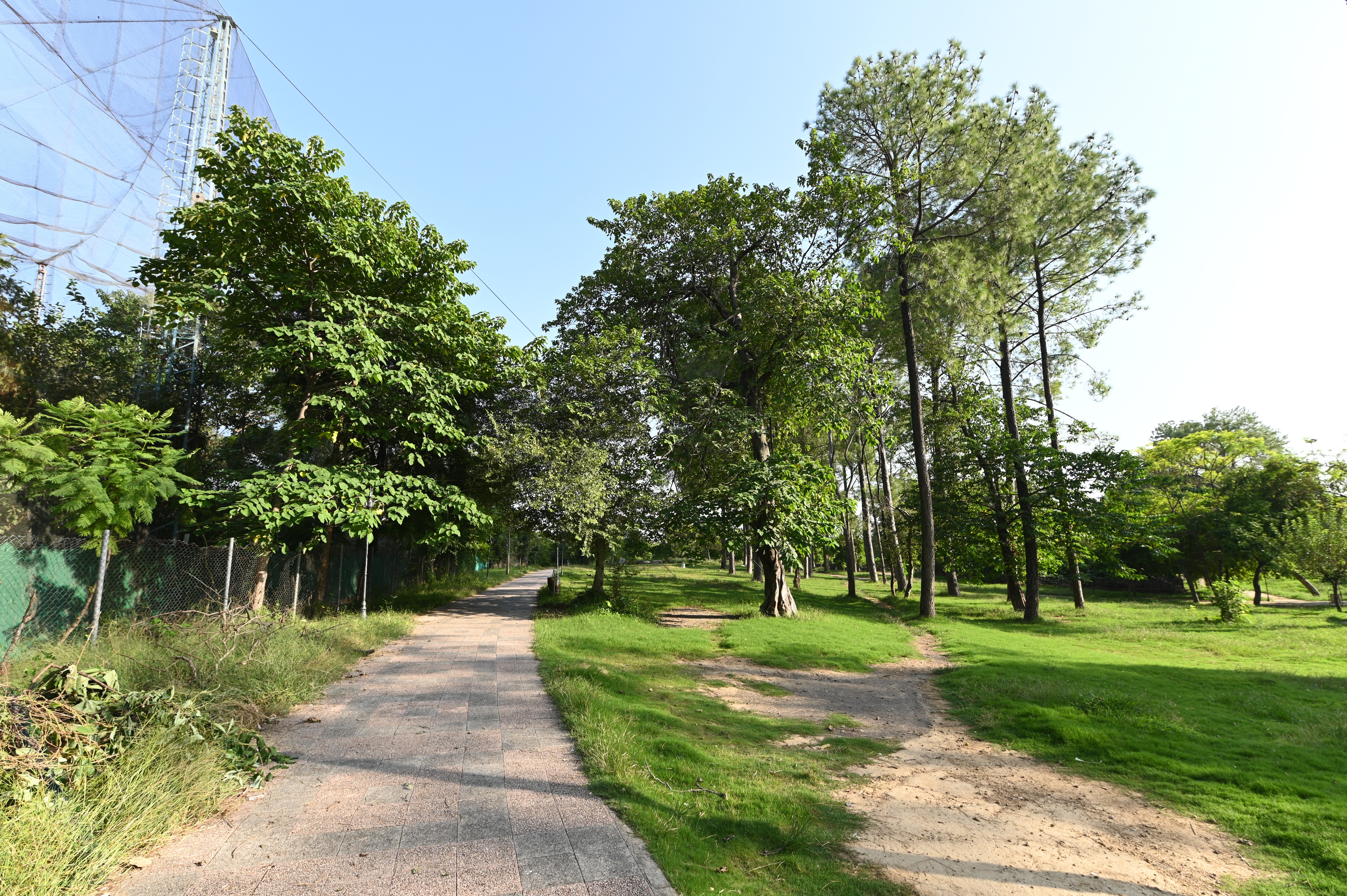 passage walkway to the lake view