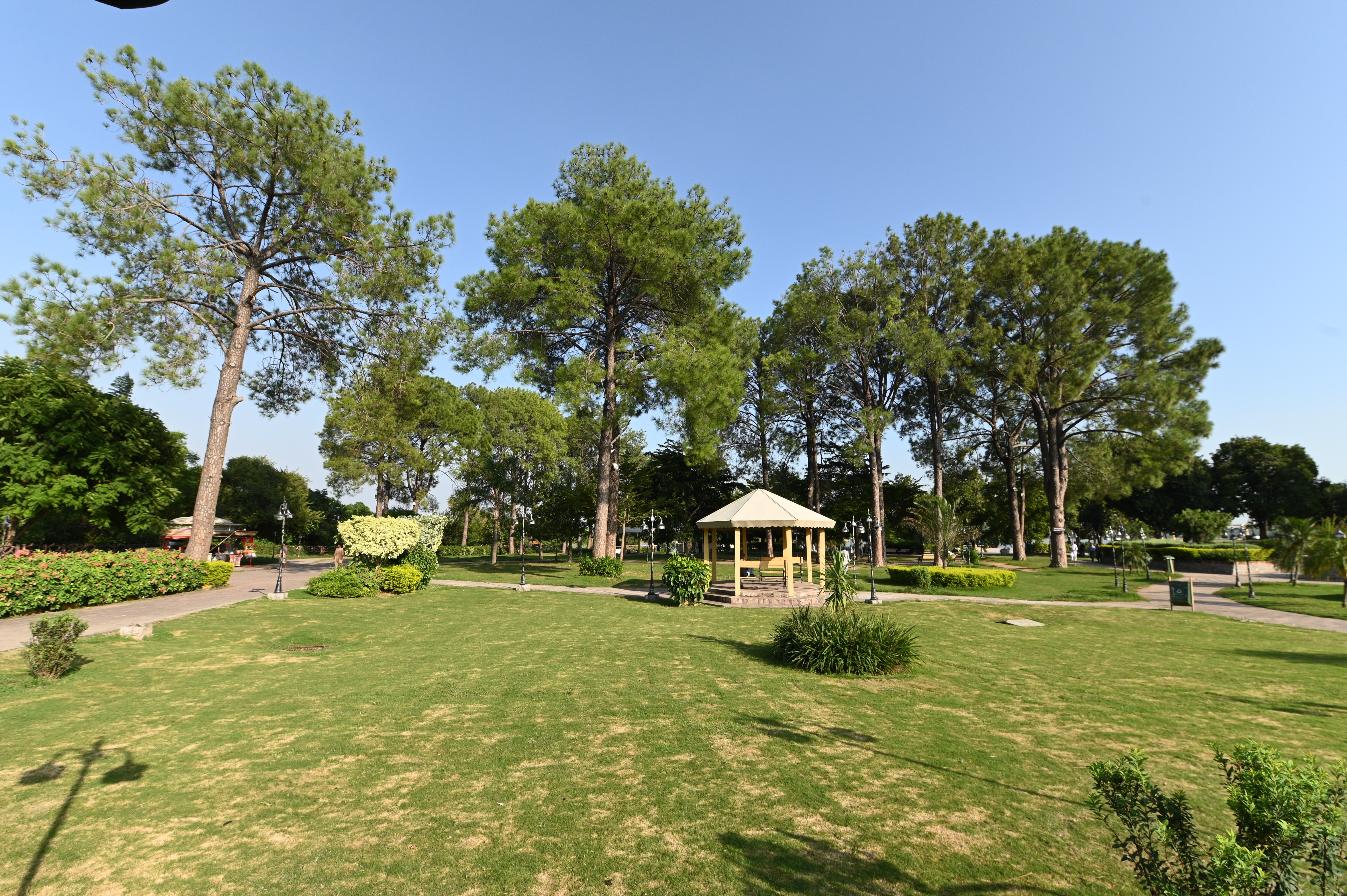 the scenic beauty of lake view park with lush green trees on a bright sunny day