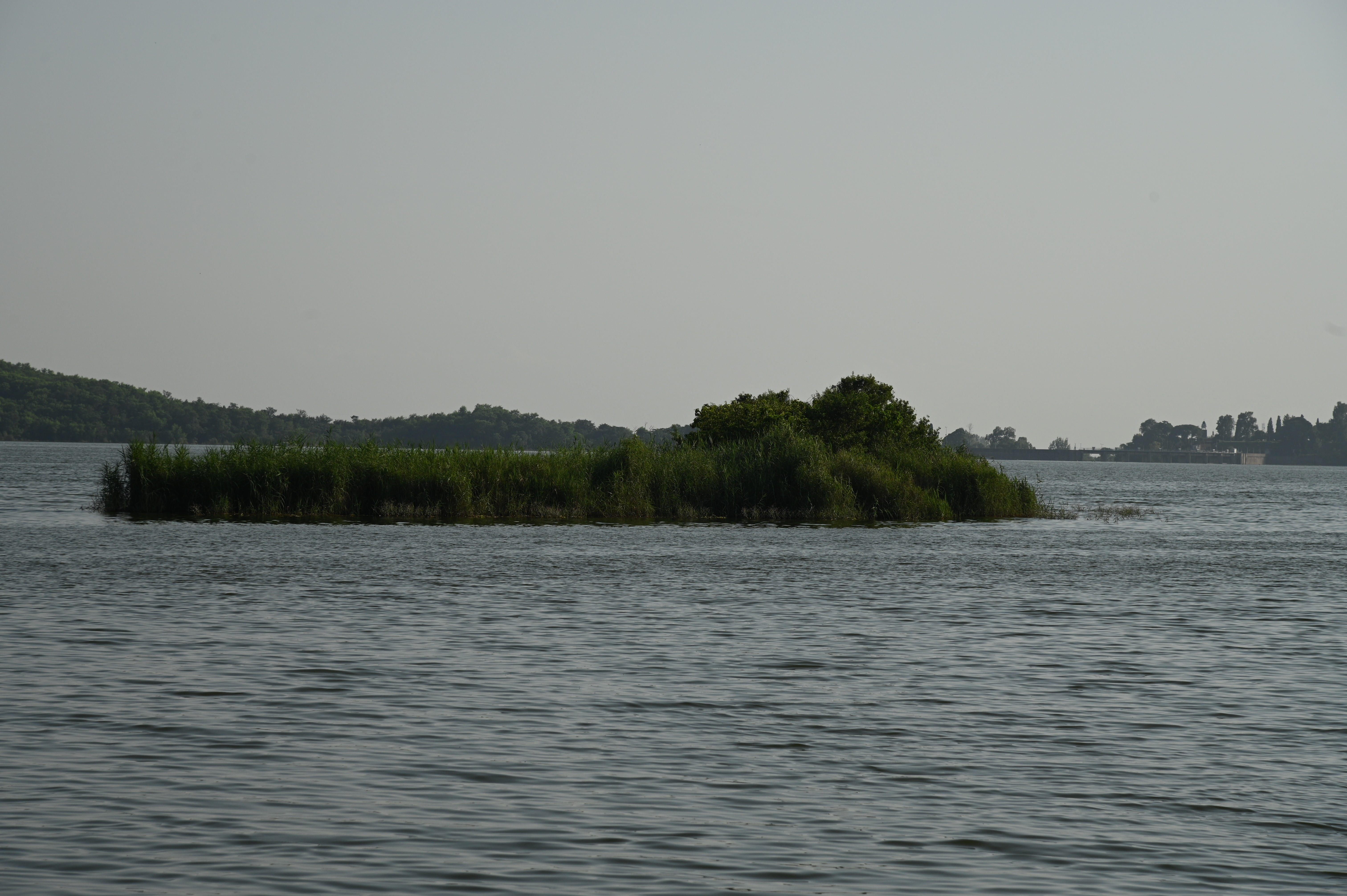 A small piece of land made naturally in the center of lake