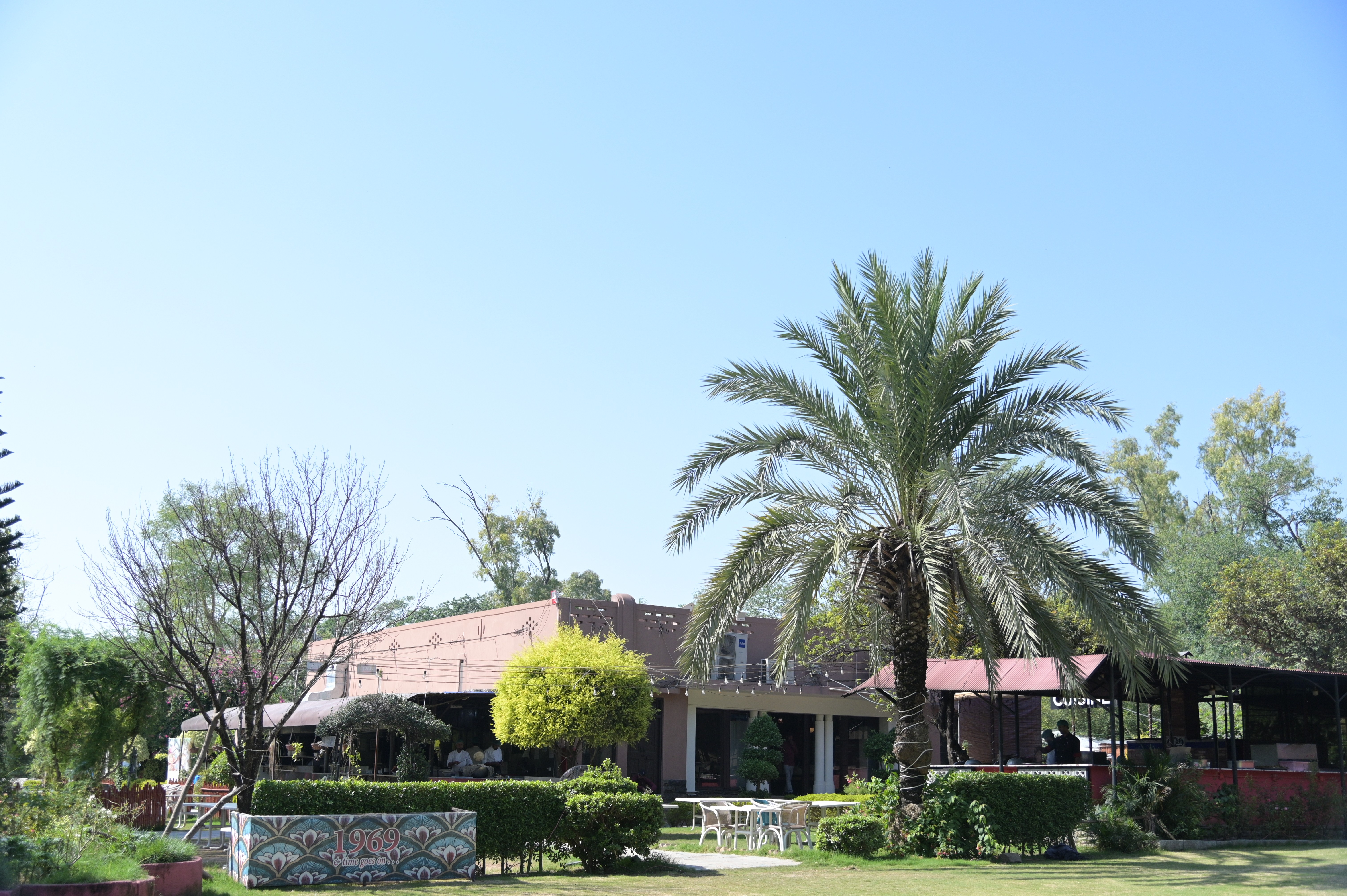 A restaurant surrounded by trees