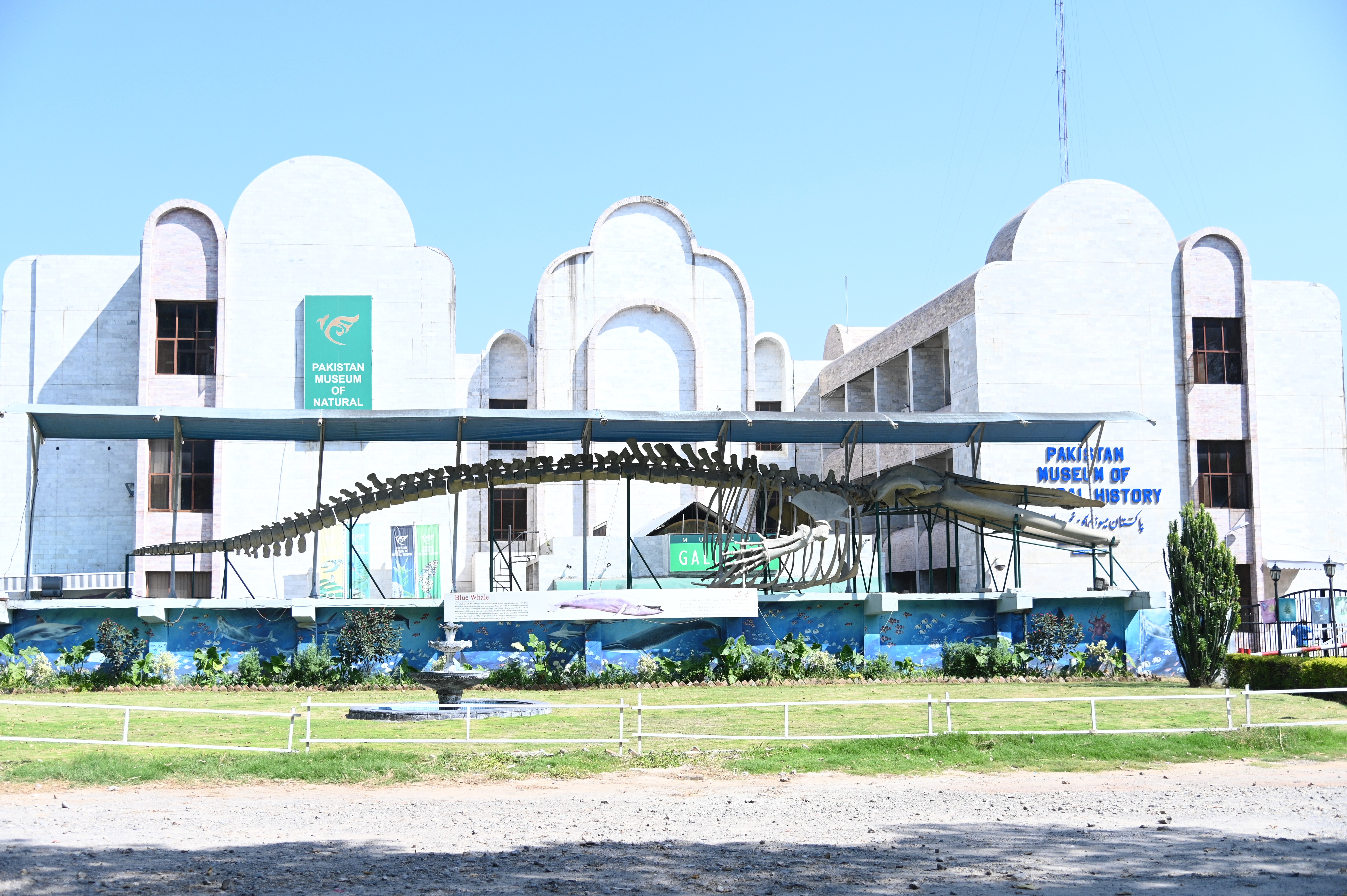 Pakistan Museum of Natural History, established in 1976, It has exhibits and galleries which display and provide information about the ecology, geology, and paleontology of the country