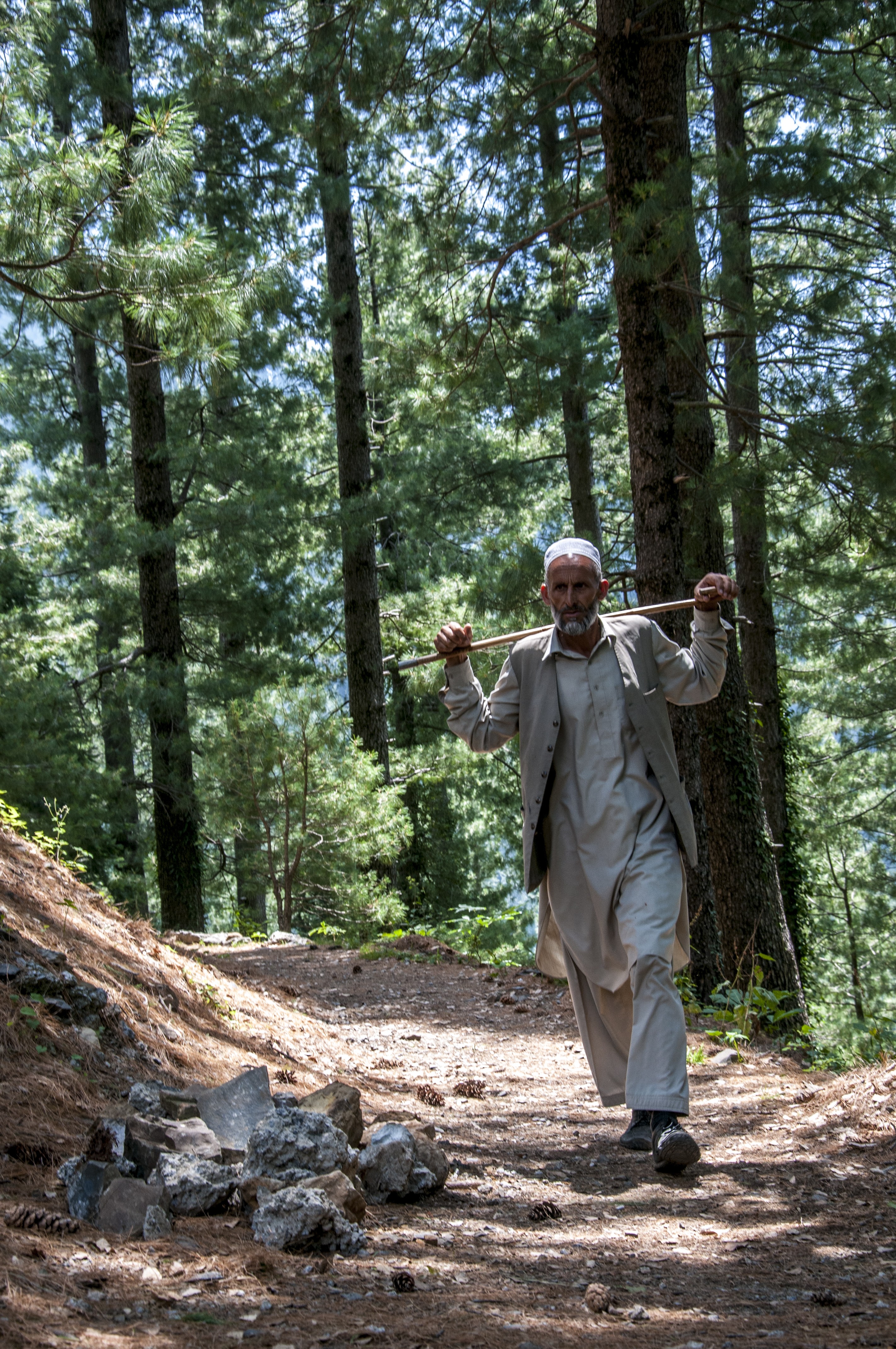 An old man passing by the woods