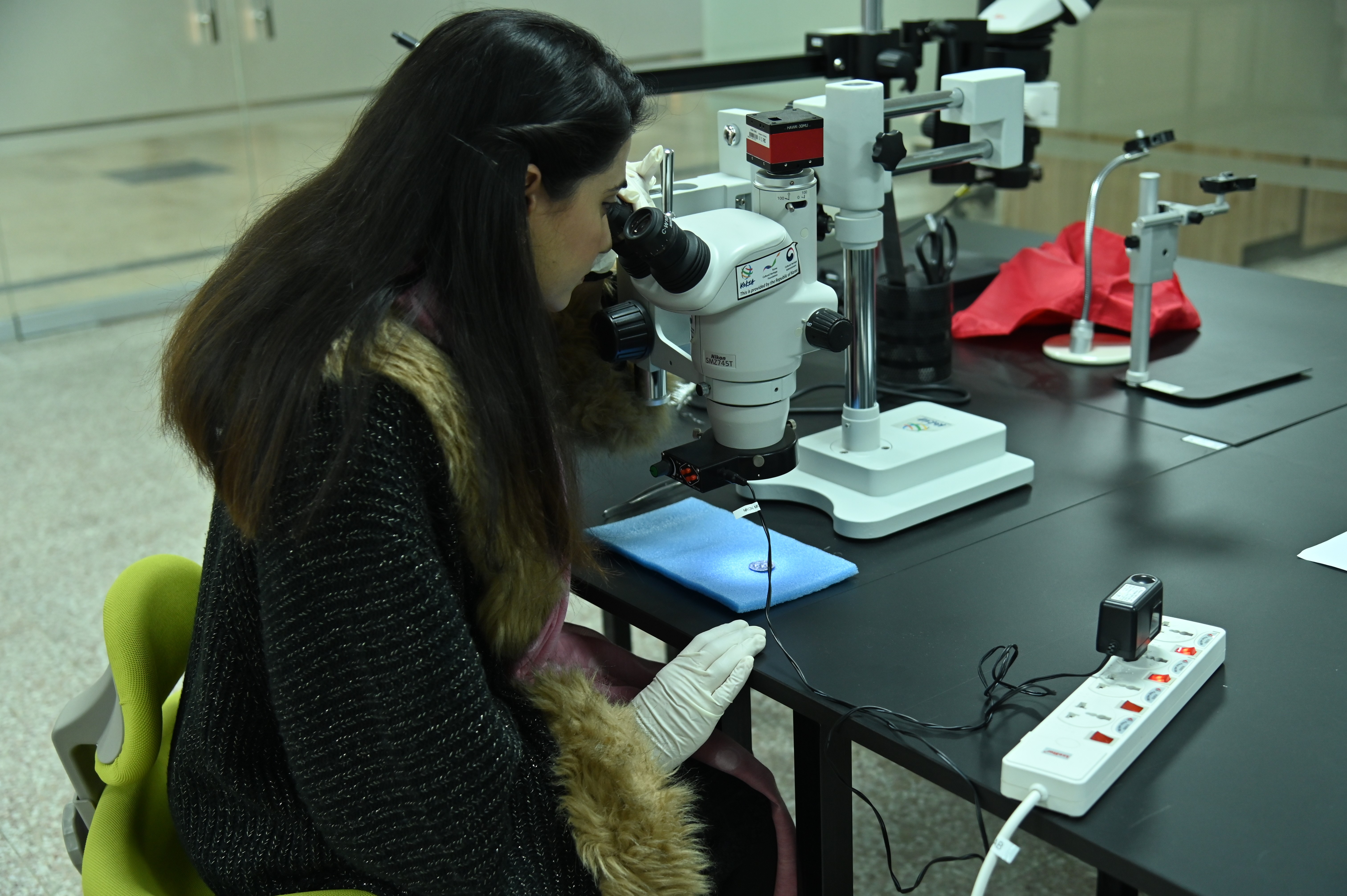 The microscopic inspection of ancient coin