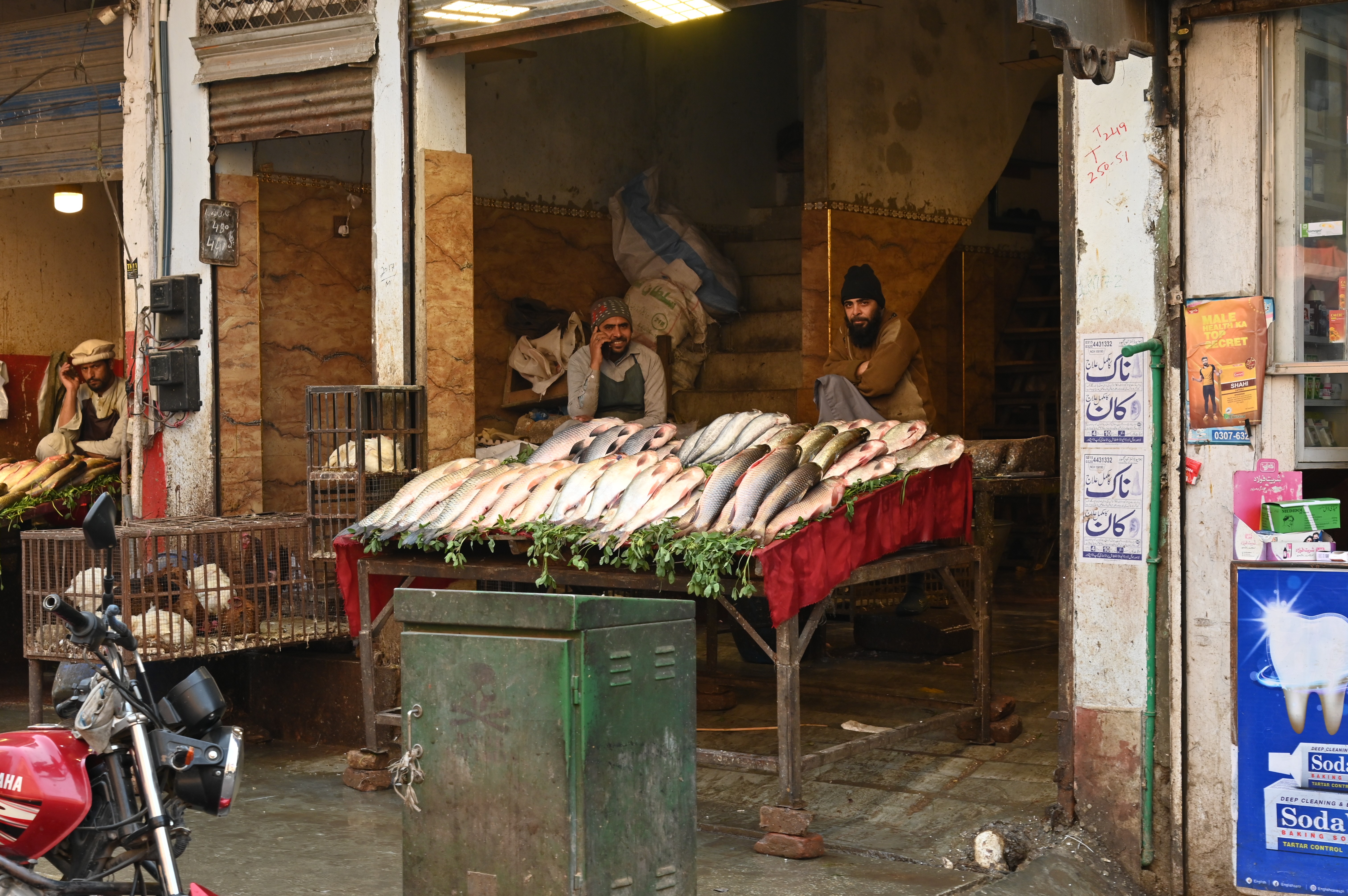 A man selling fresh fish