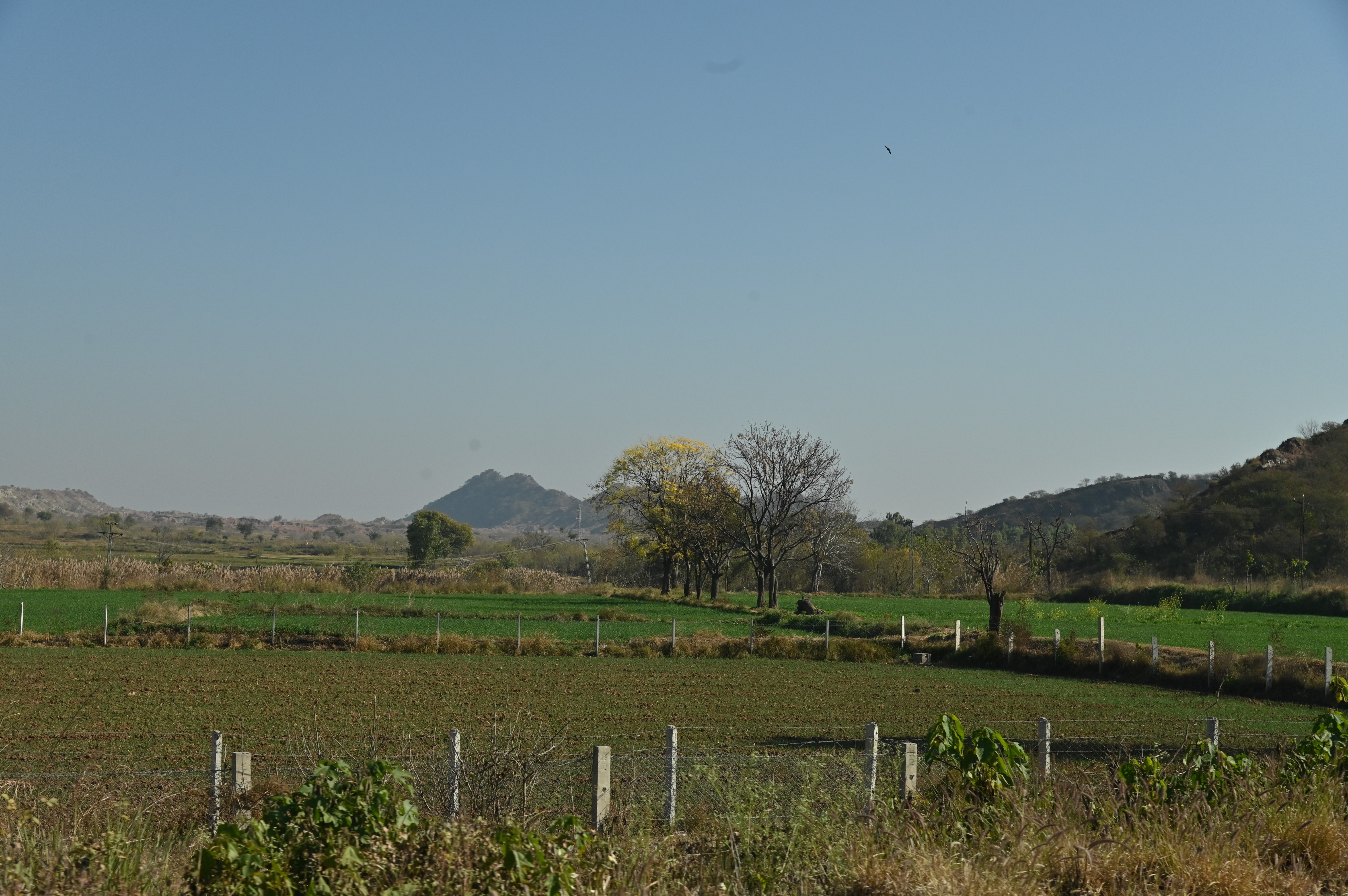 A field in a village