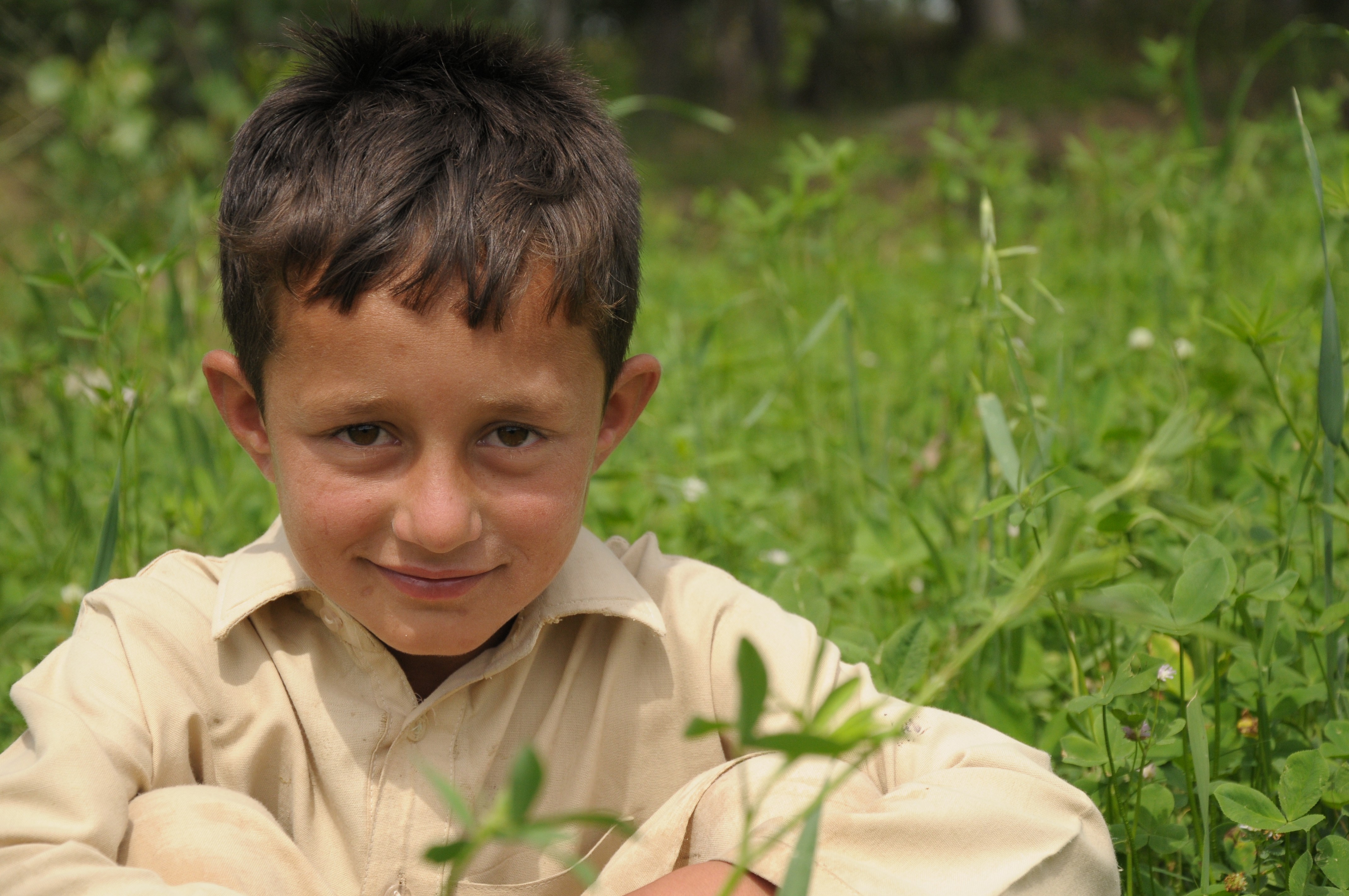 A portrait of a boy