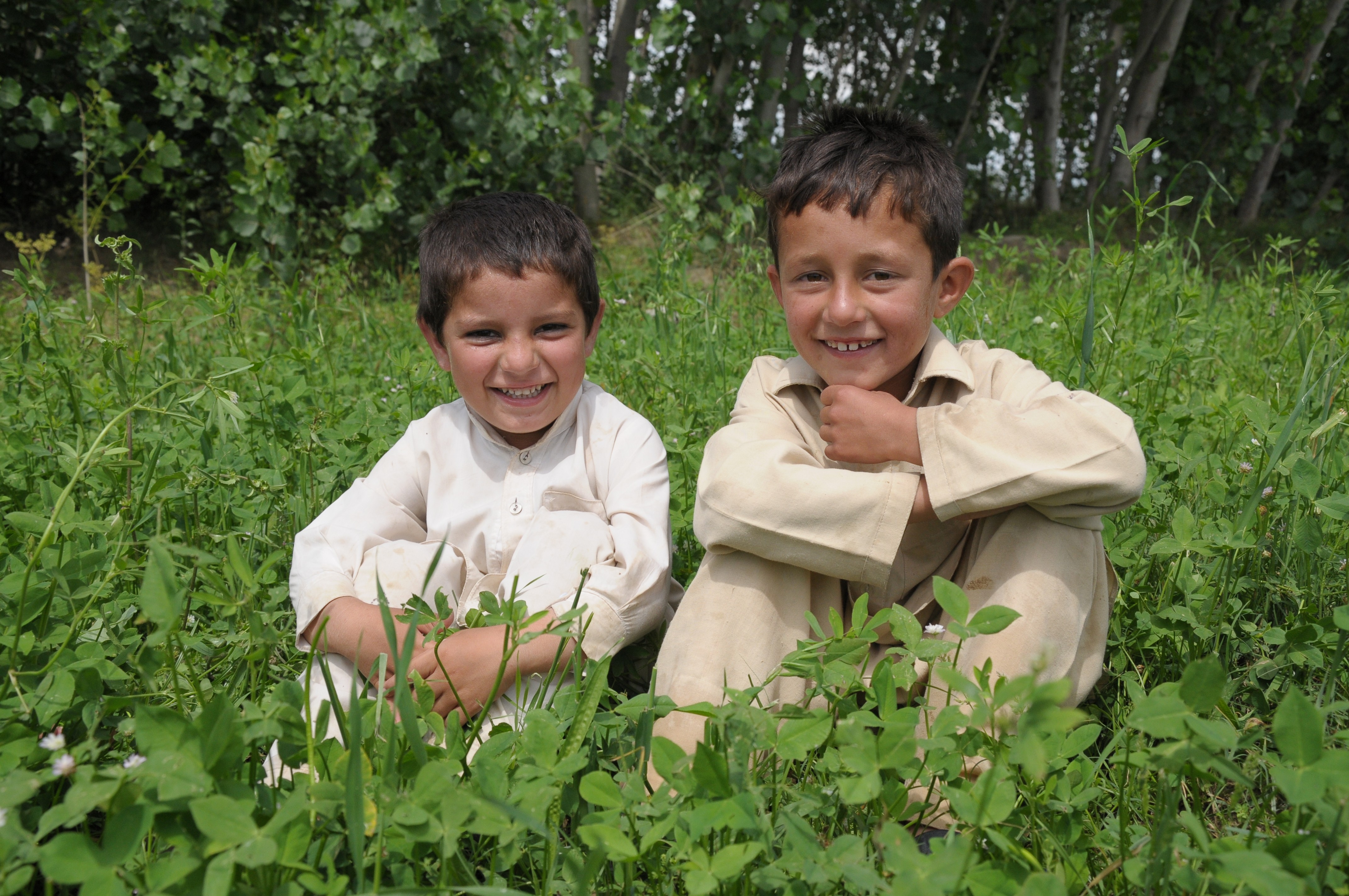 A portrait of a boys sitting on a grassy land