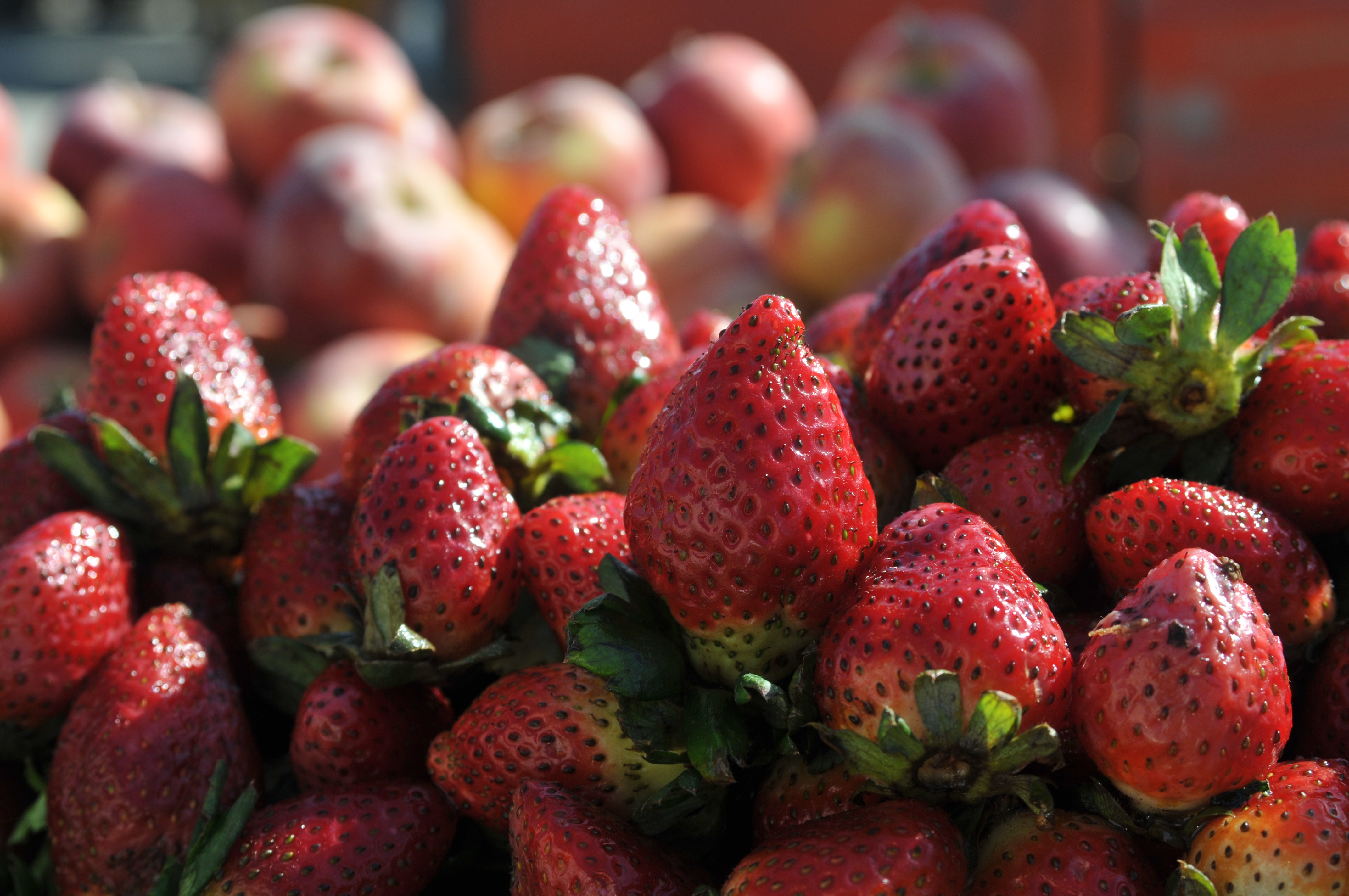 Fresh strawberries