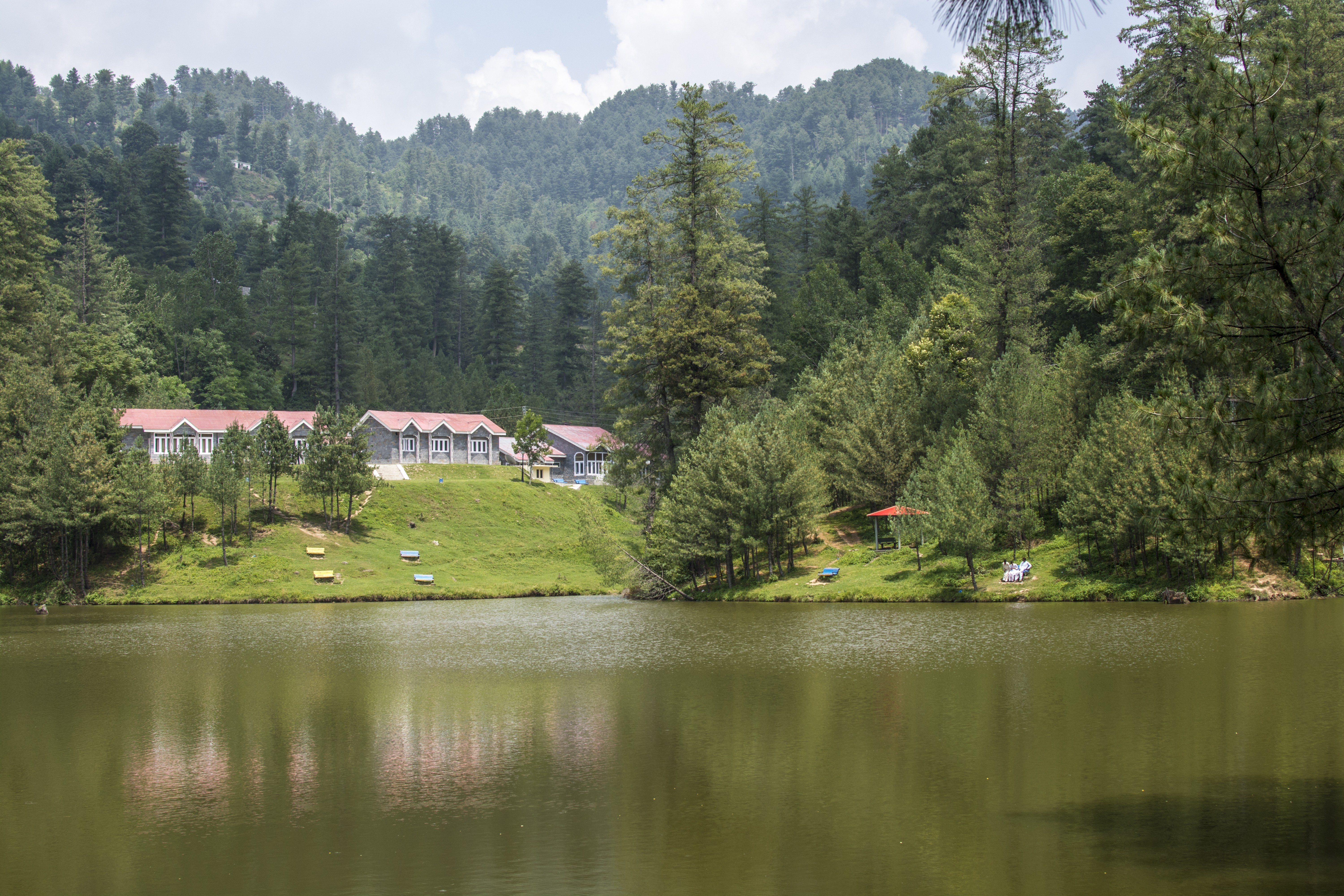 The beautiful view of lake surrounded by green trees