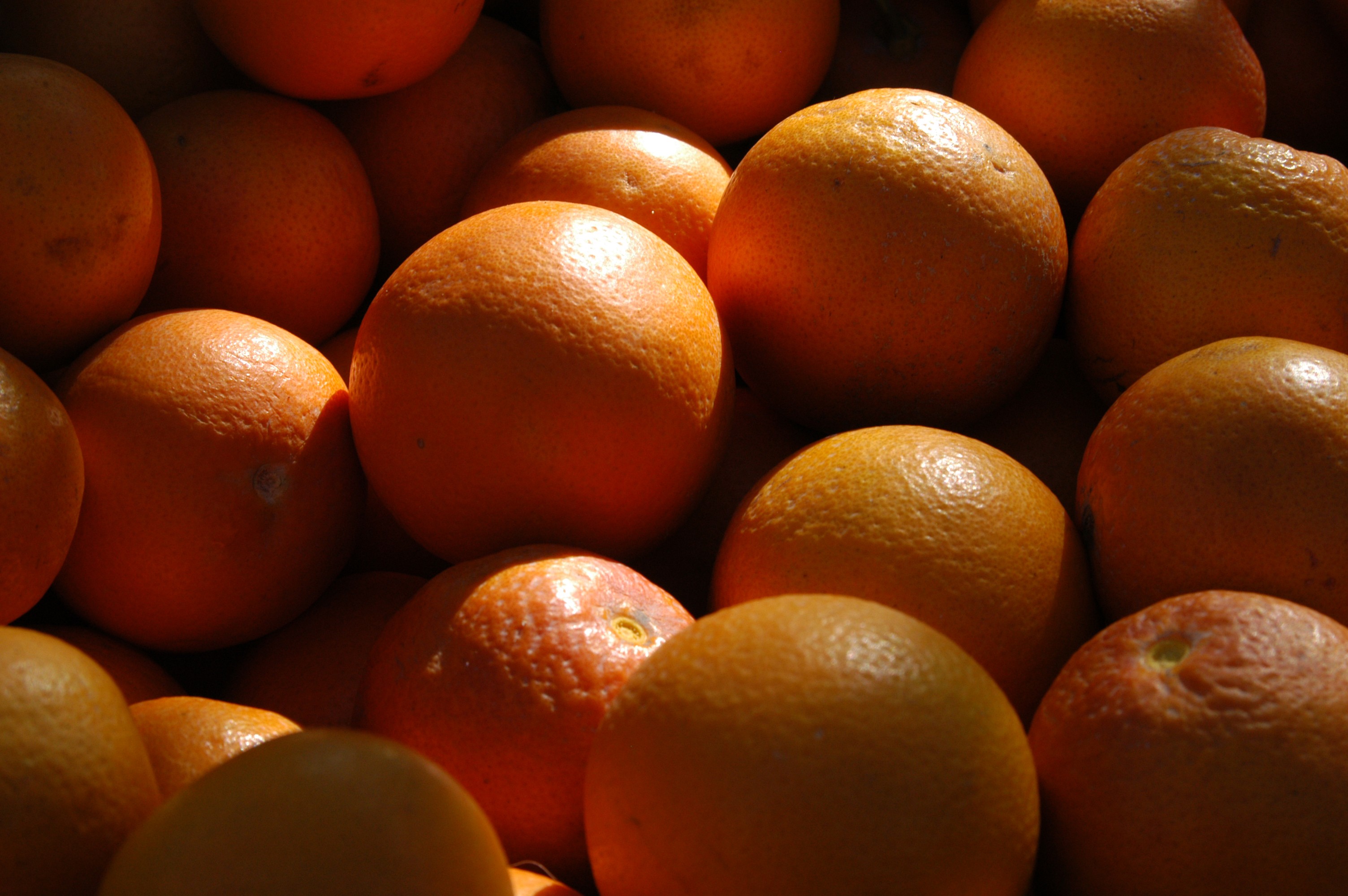 Fresh oranges