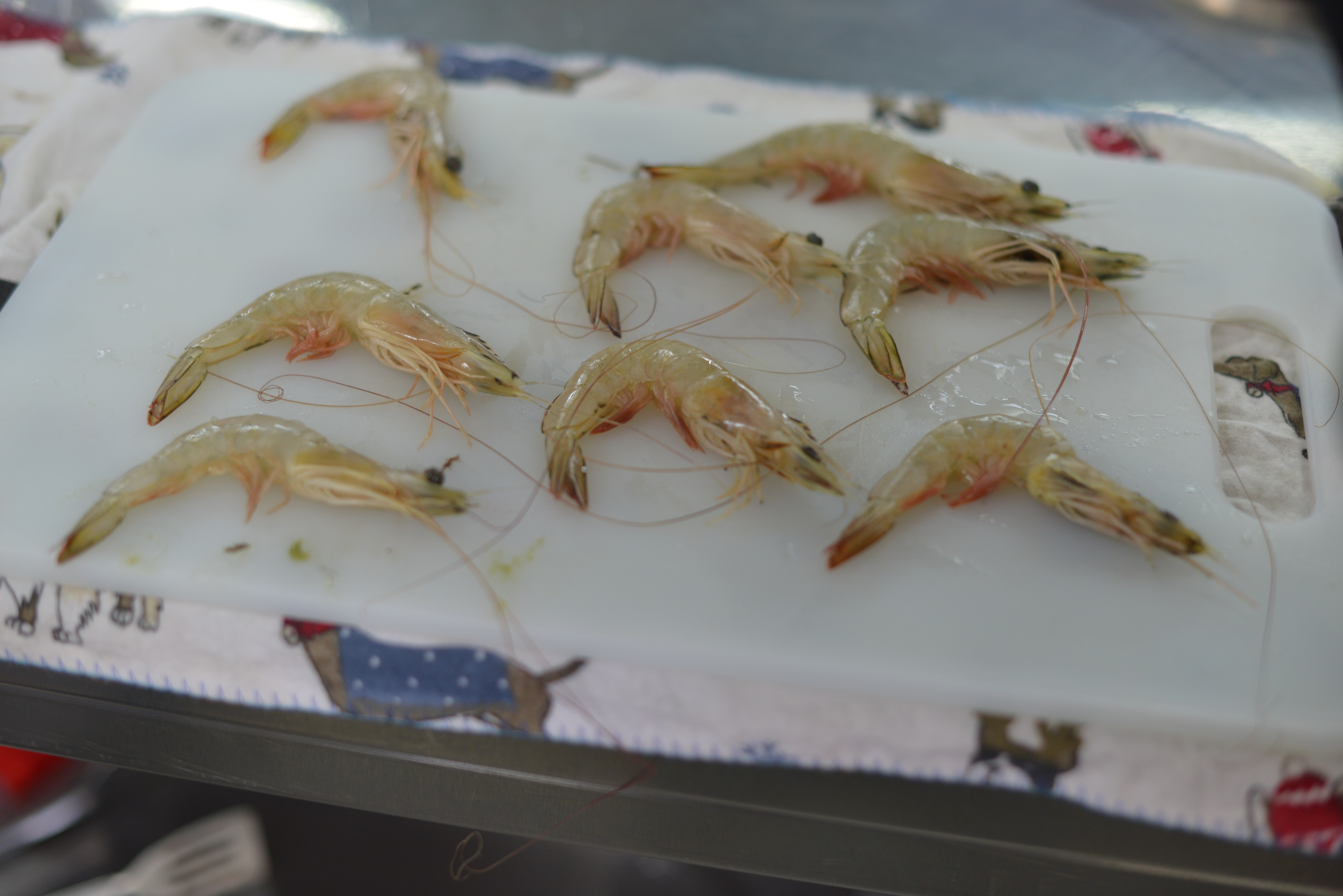 Fresh shrimps