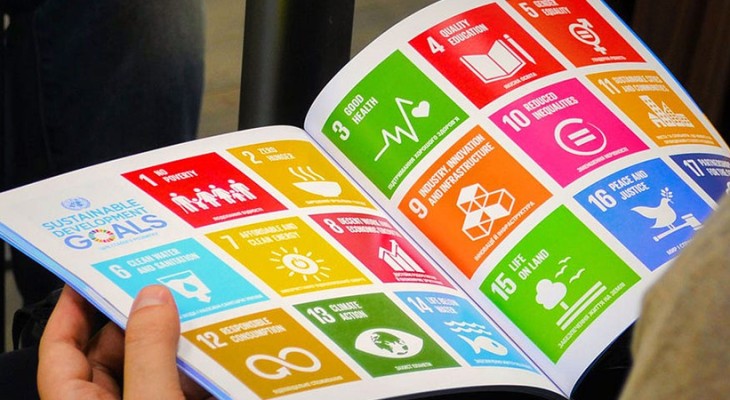 Pakistan drops to 137th place in SDGs Index 2024-INP