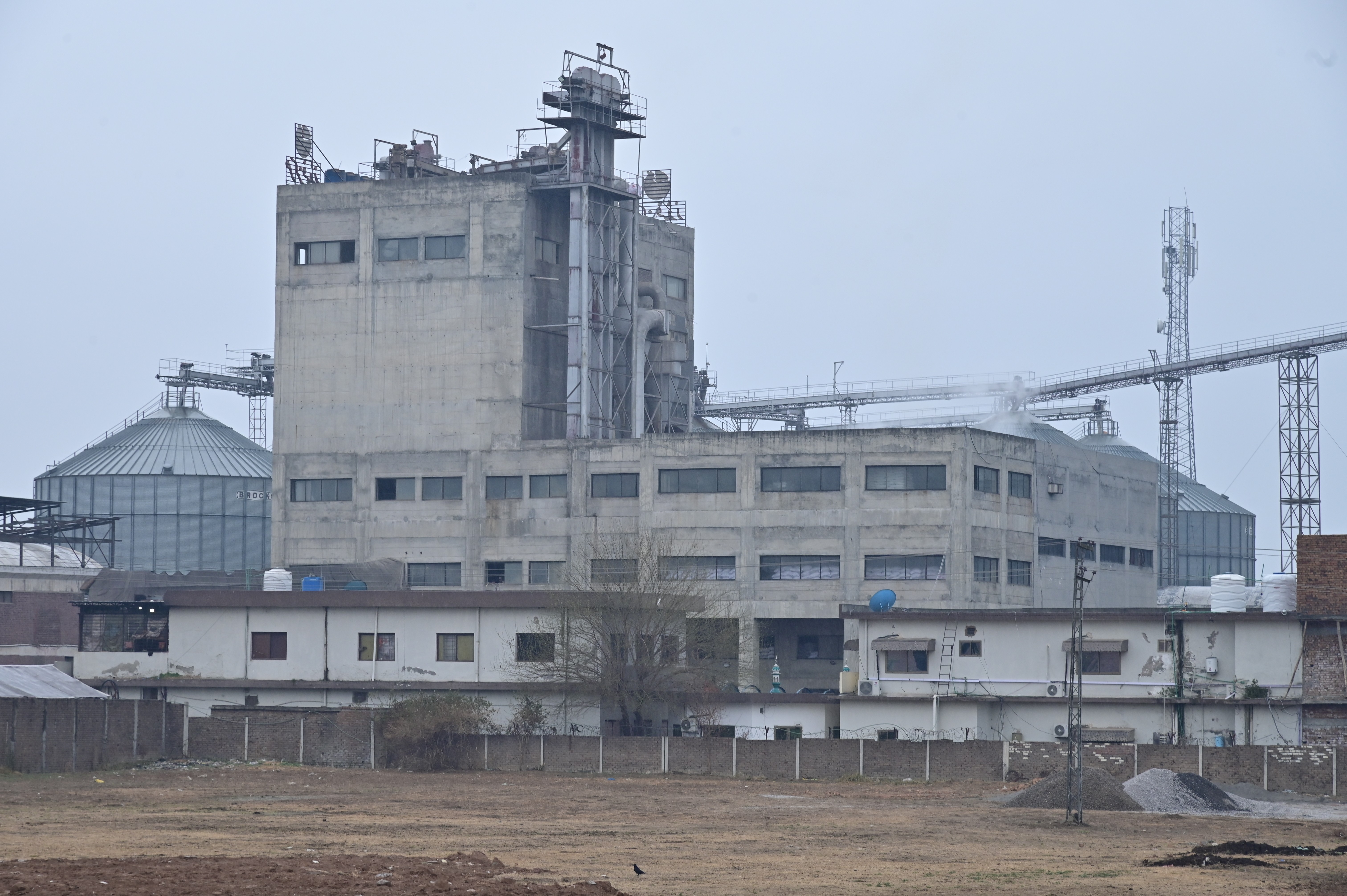 Industrial grain storage silos at a processing facility