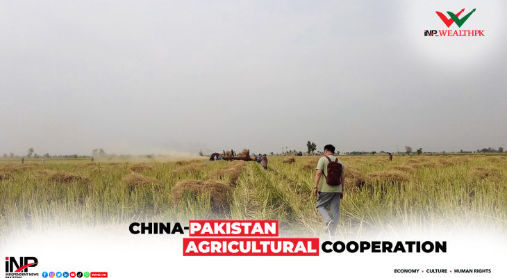 China-Pakistan Agriculture Co-operation