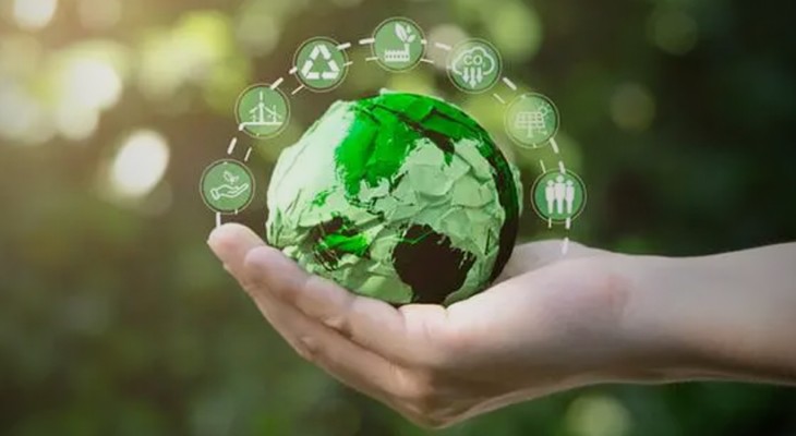 Milestone progress achieved as Pakistan plants 2.23bn saplings under ...