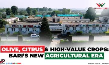 Olive, Citrus & High-Value Crops BARi’s New Agricultural Era