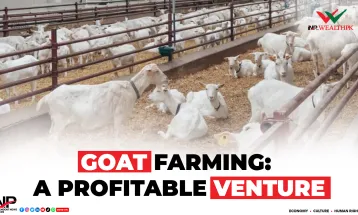 GOAT FARMING: A PROFITABLE VENTURE