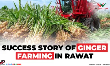 Success Story of Ginger Farming in Rawat