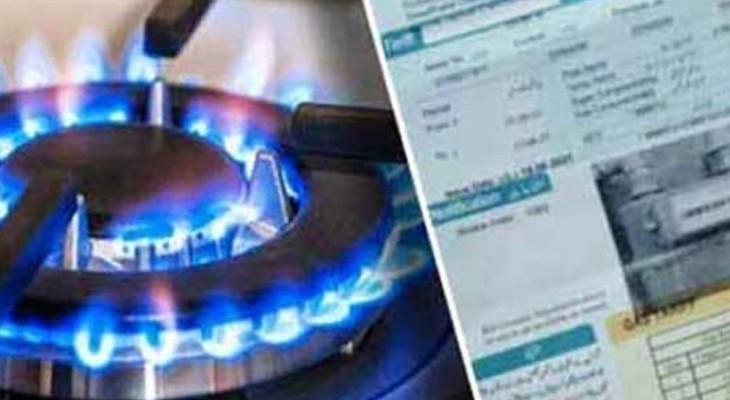 Govt decides not to increase gas prices