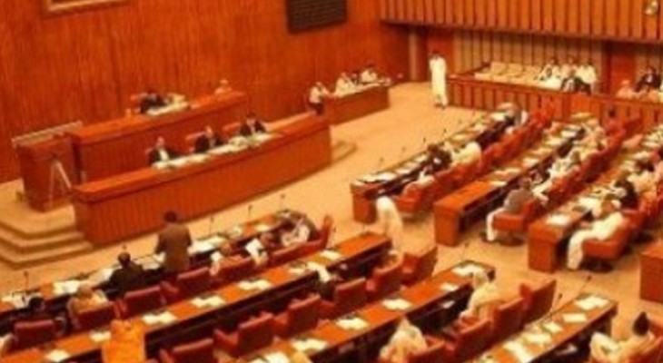 Senate body discusses health sector legislation -INP  Independent News Pakistan