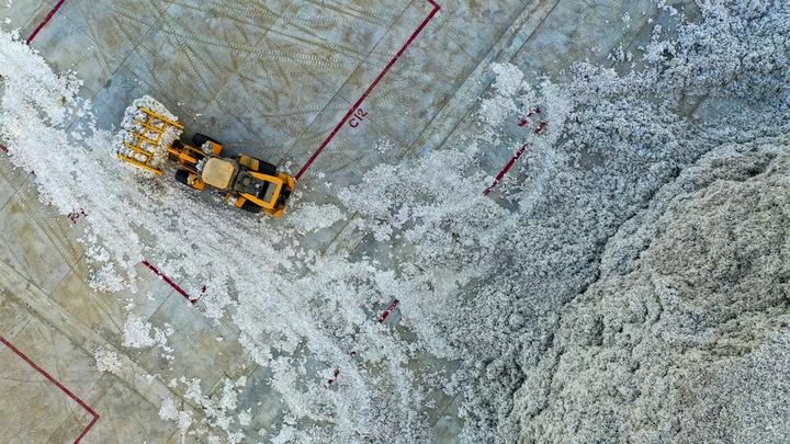 Xinjiang,cotton,harvest 3.jpg
