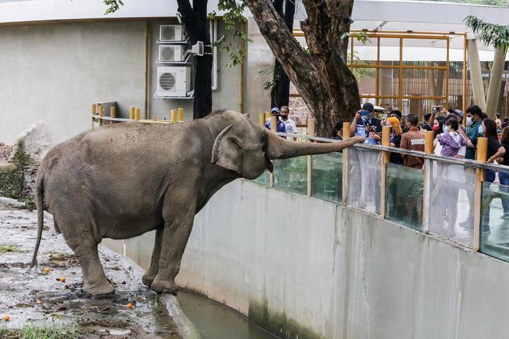 Phillipines-Zoo 1.jpg