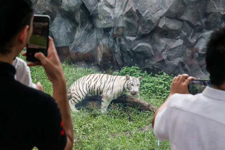 Phillipines-Zoo 2.jpg