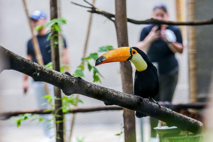 Phillipines-Zoo 4.jpg