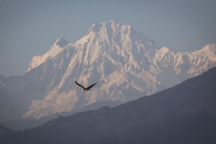 Nepal-Mountain Range-Sunset 2.jpg