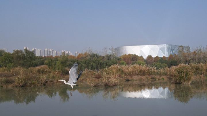 Hefei,wetland,ecology 4.jpg