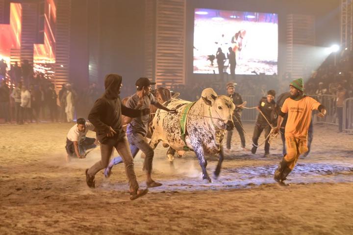 Bangladesh-Cattle Show 4.jpg