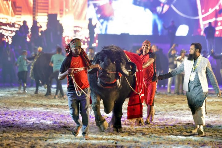 Bangladesh-Cattle Show 5.jpg