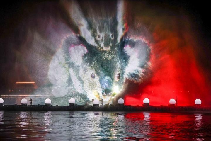 Australia-Light Show 2.jpg