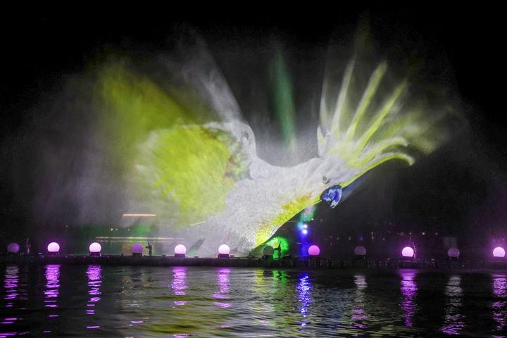 Australia-Light Show 6.jpg