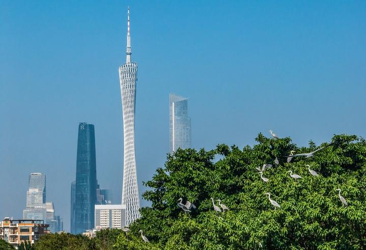 World Wetlands Day 3.jpg