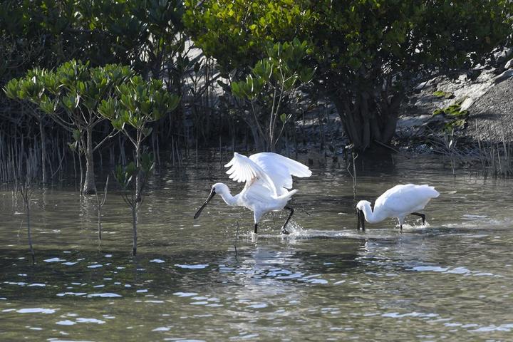 World Wetlands Day 4.jpg