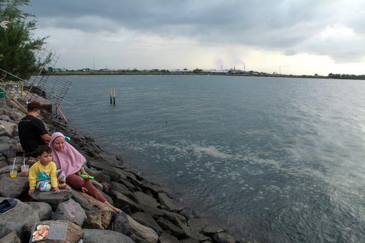Indonesia-Jellyfish 1.jpg