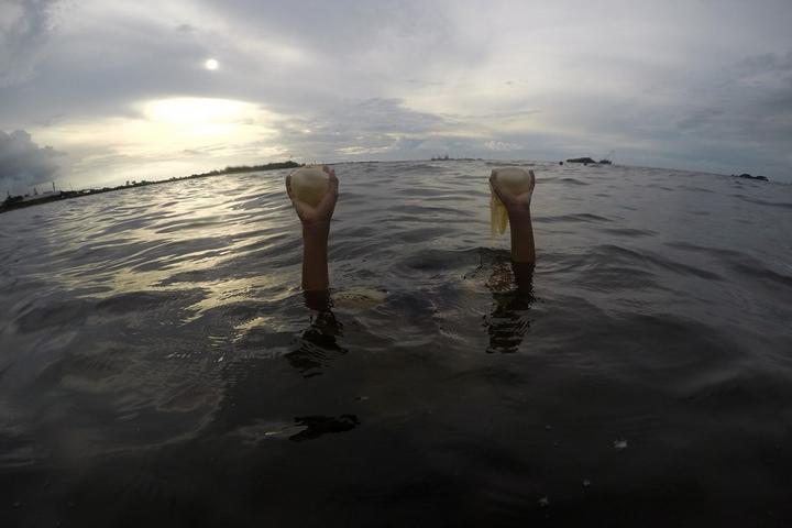 Indonesia-Jellyfish 2.jpg