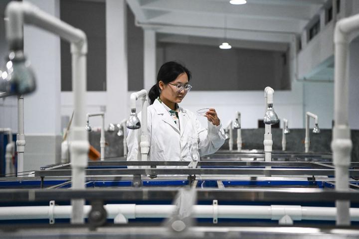 Dateng Gorge water conservancy project 2.jpg