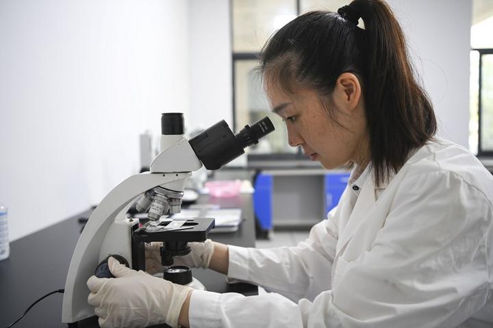 Dateng Gorge water conservancy project 4.jpg