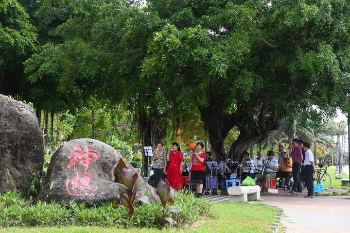 mangrove forest 4.jpg