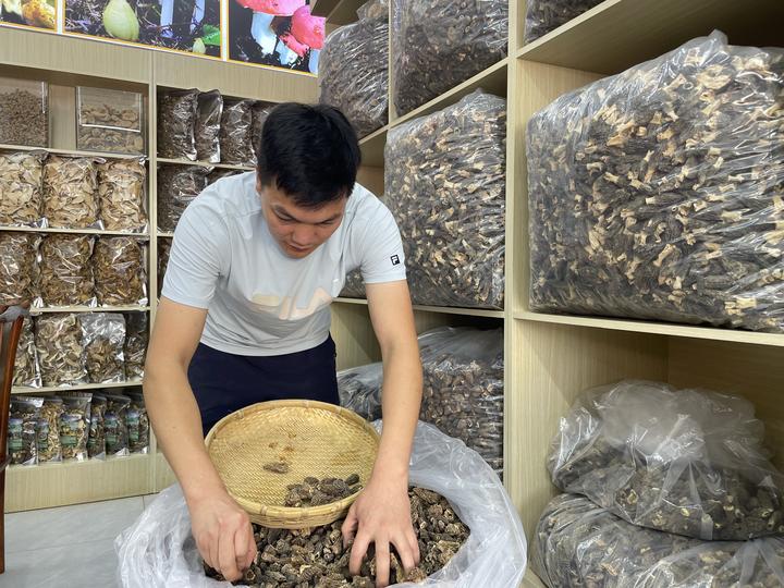 Pakistani Morchella 1.jpg