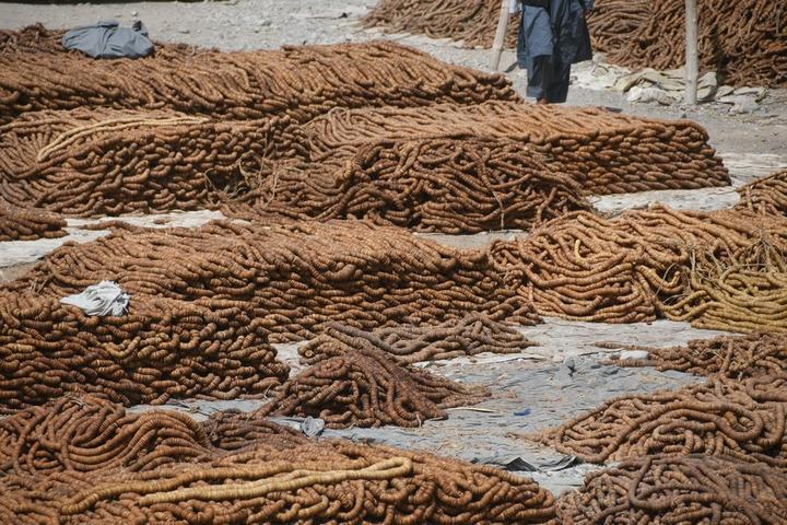 Afghanistan-Dried Figs 3.jpg